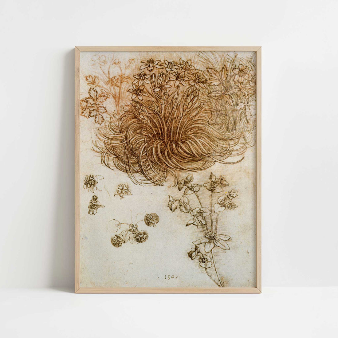 A Star of Bethlehem & Other Plants (1500s) by Leonardo da Vinci – Art Print - Art print in oak frame