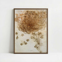 A Star of Bethlehem & Other Plants (1500s) by Leonardo da Vinci – Art Print - Art print in dark wood frame
