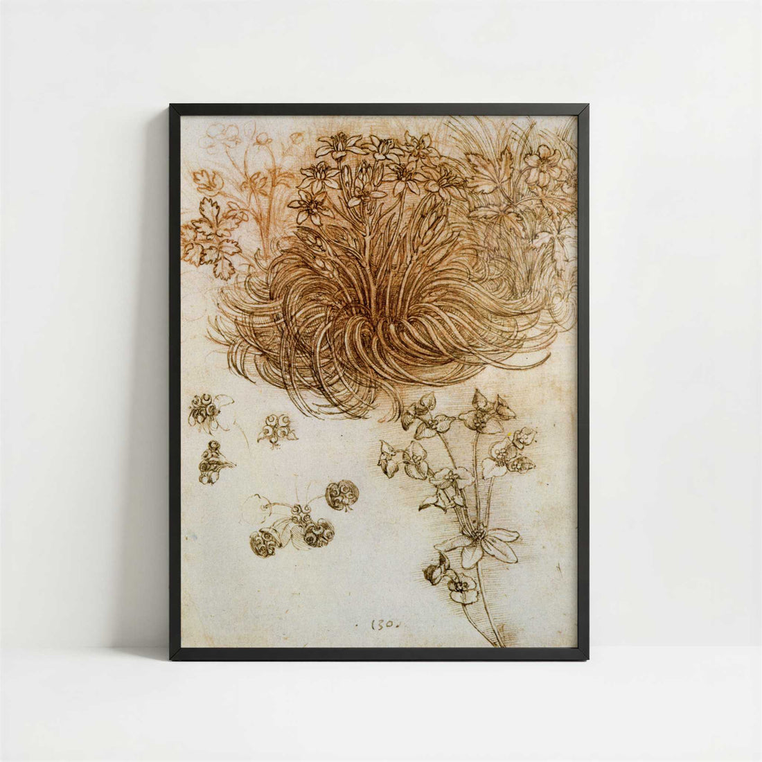 A Star of Bethlehem & Other Plants (1500s) by Leonardo da Vinci – Art Print - Art print in black frame