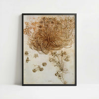 A Star of Bethlehem & Other Plants (1500s) by Leonardo da Vinci – Art Print - Art print in black frame