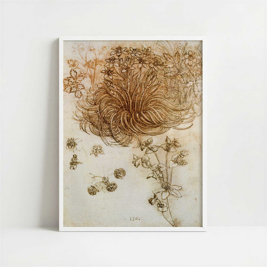 A Star of Bethlehem & Other Plants (1500s) by Leonardo da Vinci – Art Print - Art print in white frame