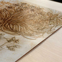 A Star of Bethlehem & Other Plants (1500s) by Leonardo da Vinci – Art Print - Close-up detail of the art print