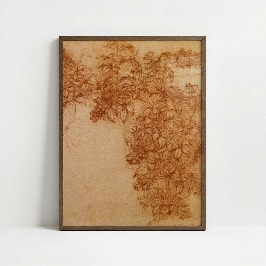 Branch of Blackberry (1490s) by Leonardo da Vinci – Art Print - Art print in dark wood frame