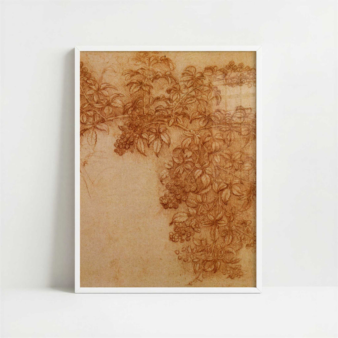 Branch of Blackberry (1490s) by Leonardo da Vinci – Art Print - Art print in white frame
