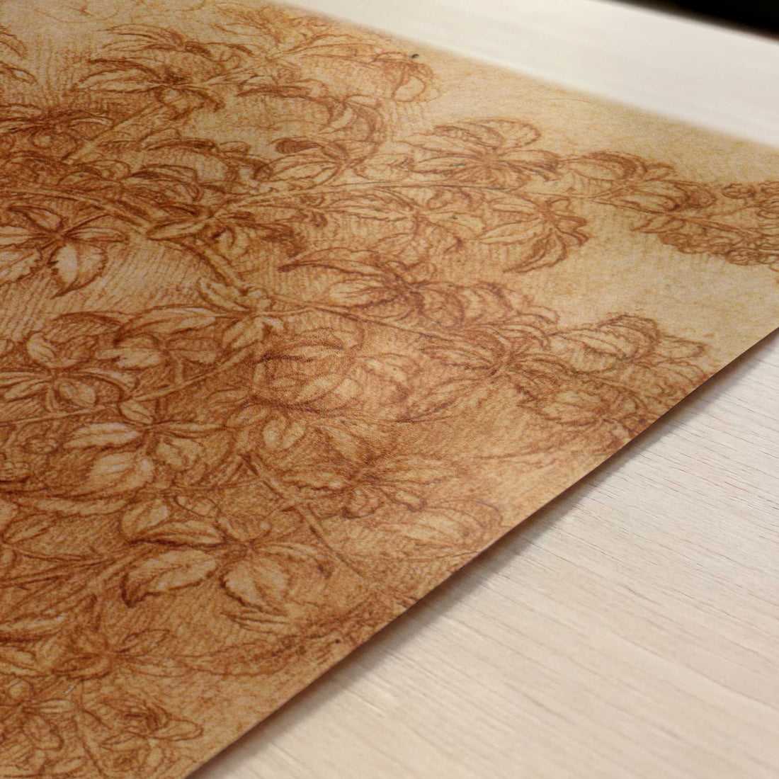 Branch of Blackberry (1490s) by Leonardo da Vinci – Art Print - Close-up detail of the art print