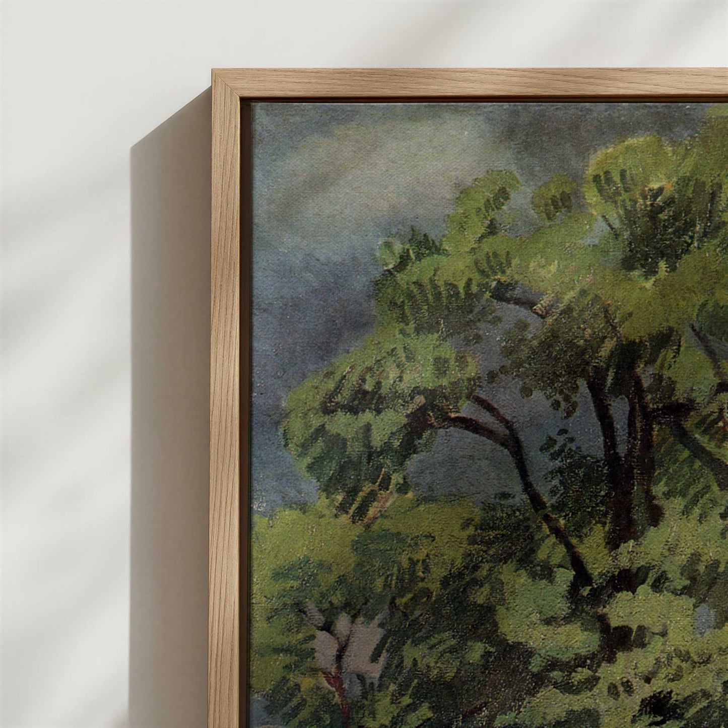 Framed Canvas - Close-up detail and texture of the framed canvas