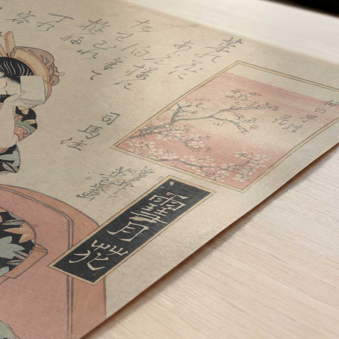 Blossom of Nakanocho (c.1818–1825) by Ikeda Eisen – Art Print - Close-up detail of the art print