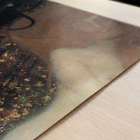 Goldfish (1901-2) by Gustav Klimt – Art Print - Close-up detail of the art print