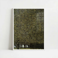 The Park (1910) by Gustav Klimt – Art Print - Art print in white frame