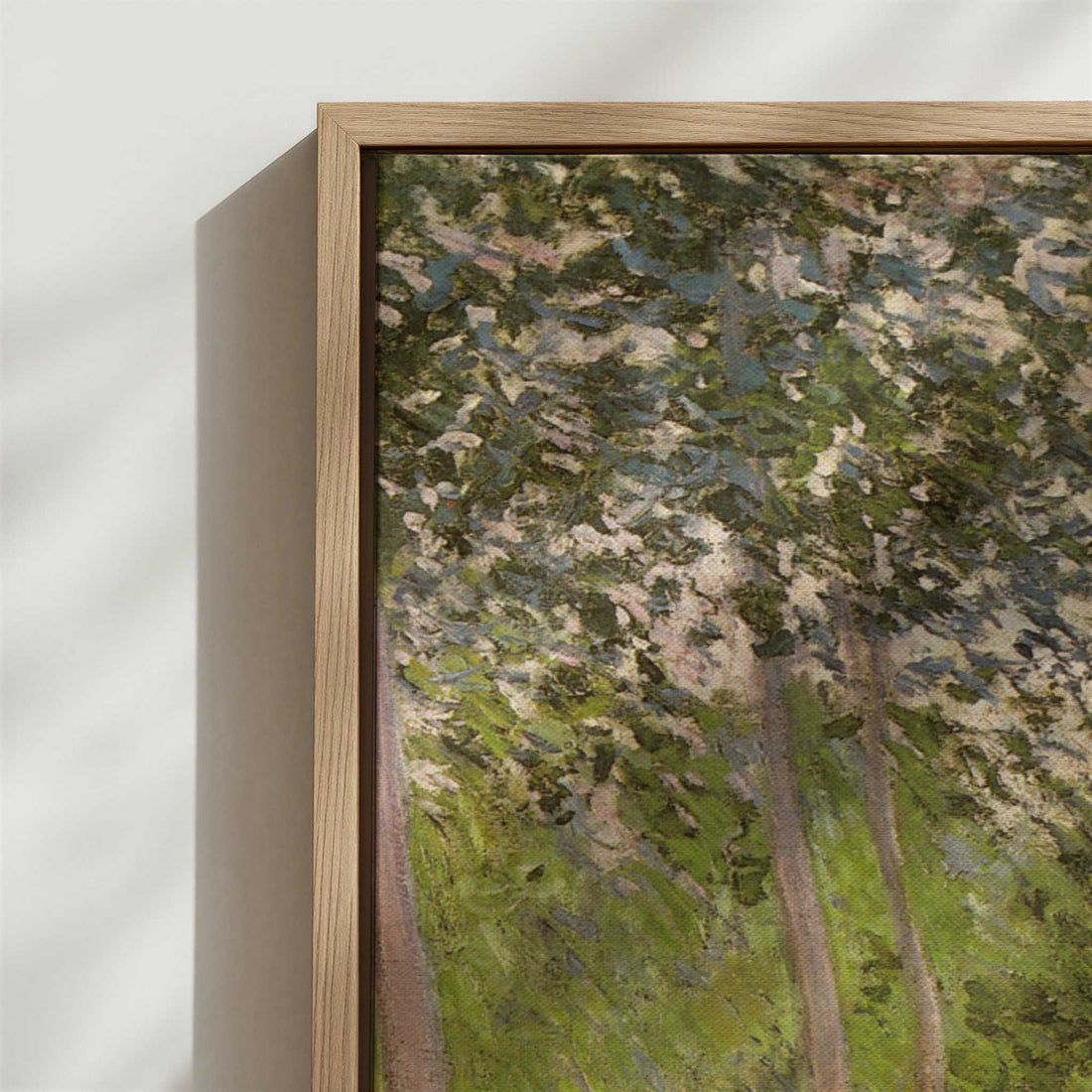 Framed Canvas - Close-up detail and texture of the framed canvas