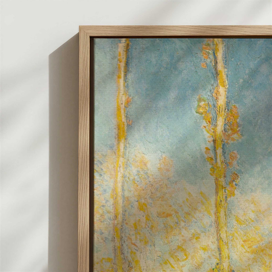 Framed Canvas - Close-up detail and texture of the framed canvas