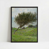 Framed Canvas - Framed canvas in black frame