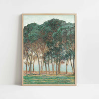 Umbrella Pines, Antibes (1888) by Claude Monet – Art Print - Art print in oak frame