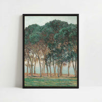 Framed Canvas - Framed canvas in black frame