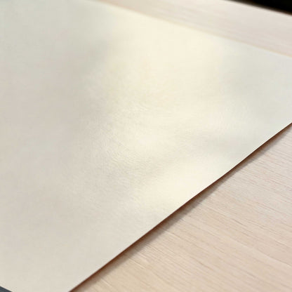 Salmon Sushi – Print